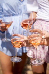Just a Taste Wine Tour: Sit Back, Sip & Relax image 4