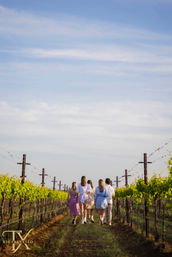 Just a Taste Wine Tour: Sit Back, Sip & Relax image 7