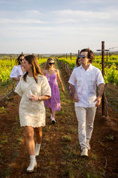 Just a Taste Wine Tour: Sit Back, Sip & Relax image 5