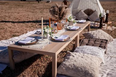 Luxury Picnic Party with Insta-Worthy Decorations, Balloon Garland and Tipee Tent image 12