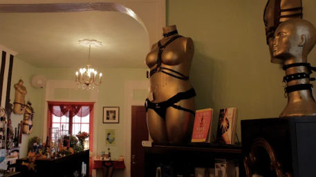 Private Adult Toy Party: Bachelorettes, Birthdays & Group Fun image 6