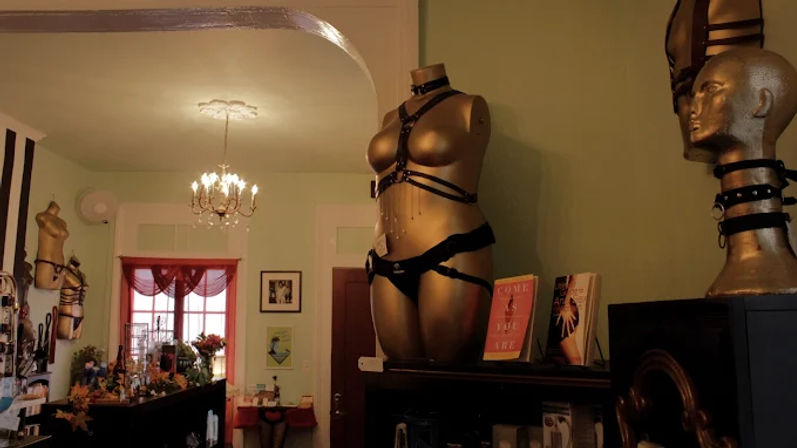 Private Adult Toy Party: Bachelorettes, Birthdays & Group Fun image 6