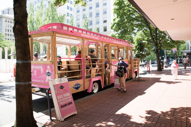 All-Day Pass for Hop-On Hop-Off Pink Trolley Sightseeing Tour image 4