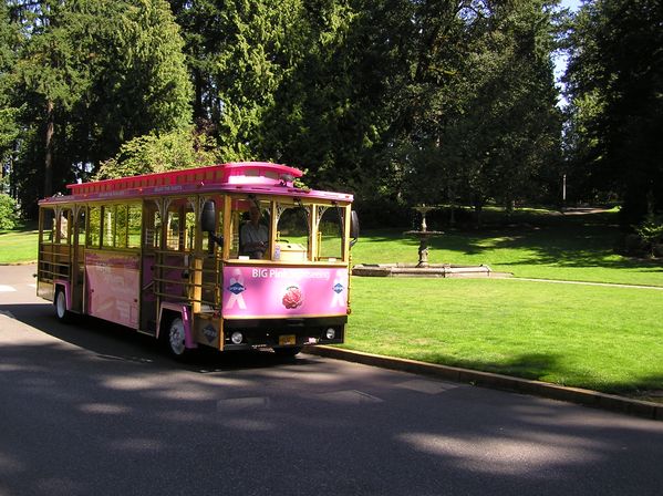 All-Day Pass for Hop-On Hop-Off Pink Trolley Sightseeing Tour image 8