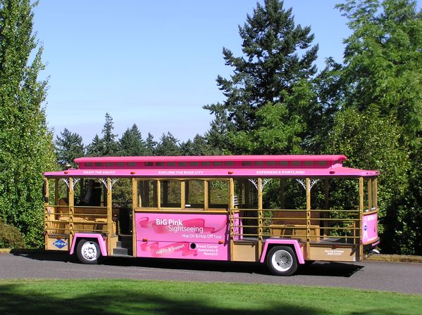 All-Day Pass for Hop-On Hop-Off Pink Trolley Sightseeing Tour image 7