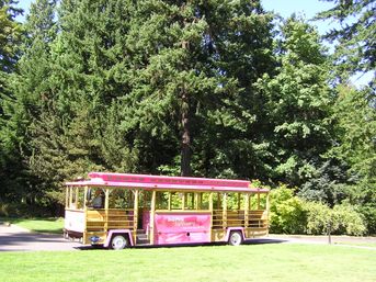 All-Day Pass for Hop-On Hop-Off Pink Trolley Sightseeing Tour image