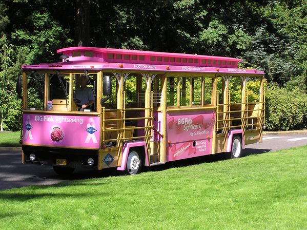 All-Day Pass for Hop-On Hop-Off Pink Trolley Sightseeing Tour image 16