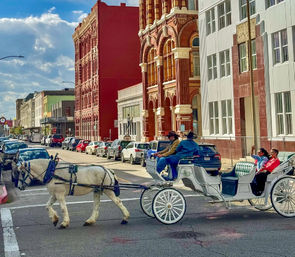 Not Your Average Carriage Tour with Galveston Carriage image