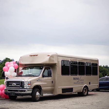 Pink Party Bus: Luxe Experience Photo Booth, Swing, Karaoke & More image 4