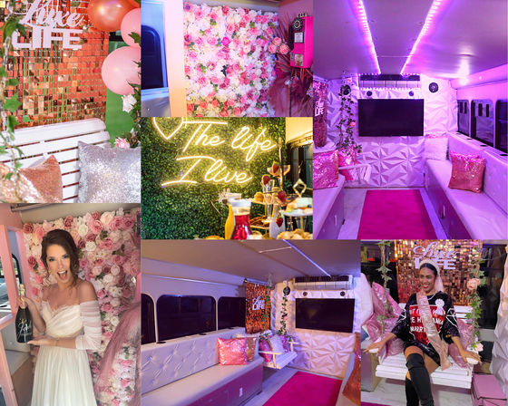 Pink Party Bus: Luxe Experience Photo Booth, Swing, Karaoke & More image 8