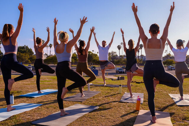 Beach, Park, or Indoor Group Yoga Session at You Chosen Location image 3