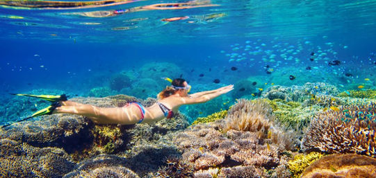 Sail & Snorkel Experience: Paradise Island, Nassau, Bahamas image 4
