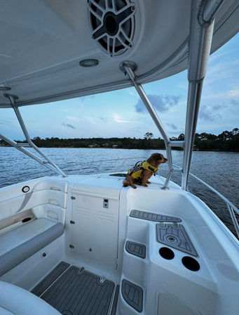 Private Charter: Pocket Yacht 'Bimini Bear' image 12