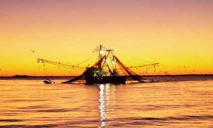 Sunset on Tybee Island’s Only Tiki Boat Cruise! image 7