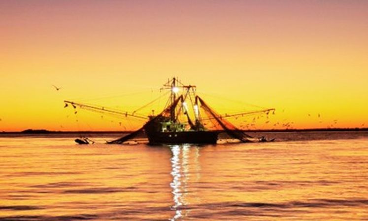 Sunset on Tybee Island’s Only Tiki Boat Cruise! image 7