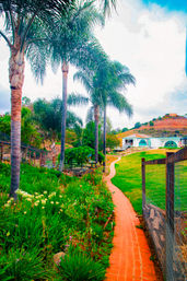 Tour, Taste & Unwind: Day of Wonder at a Boutique Farm image 4