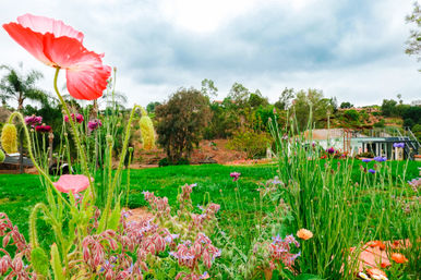 Tour, Taste & Unwind: Day of Wonder at a Boutique Farm image 5