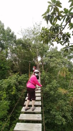 Cancun Jungle & Cenote Adventure - Private Half-Day Tour with Optional ATVs + Seafood Feast image 6