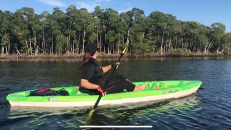 Kayak and Paddleboard Experience with Beautiful Mangrove Trails image 9