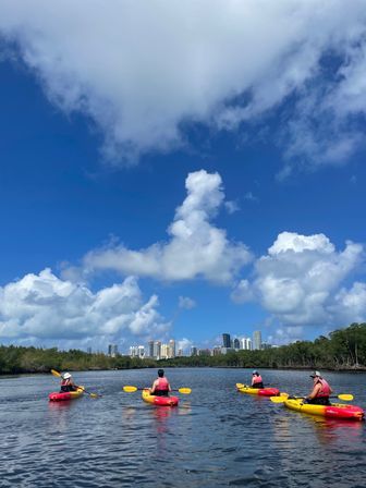 Kayak and Paddleboard Experience with Beautiful Mangrove Trails image 10