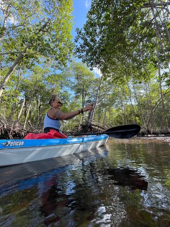 Kayak and Paddleboard Experience with Beautiful Mangrove Trails image 18