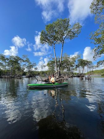 Kayak and Paddleboard Experience with Beautiful Mangrove Trails image 4