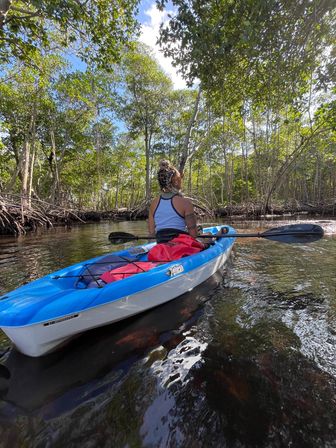 Kayak and Paddleboard Experience with Beautiful Mangrove Trails image 14