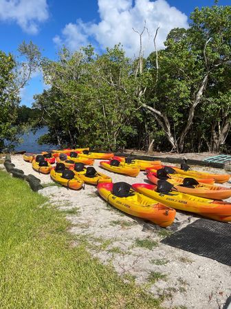 Kayak and Paddleboard Experience with Beautiful Mangrove Trails image 5
