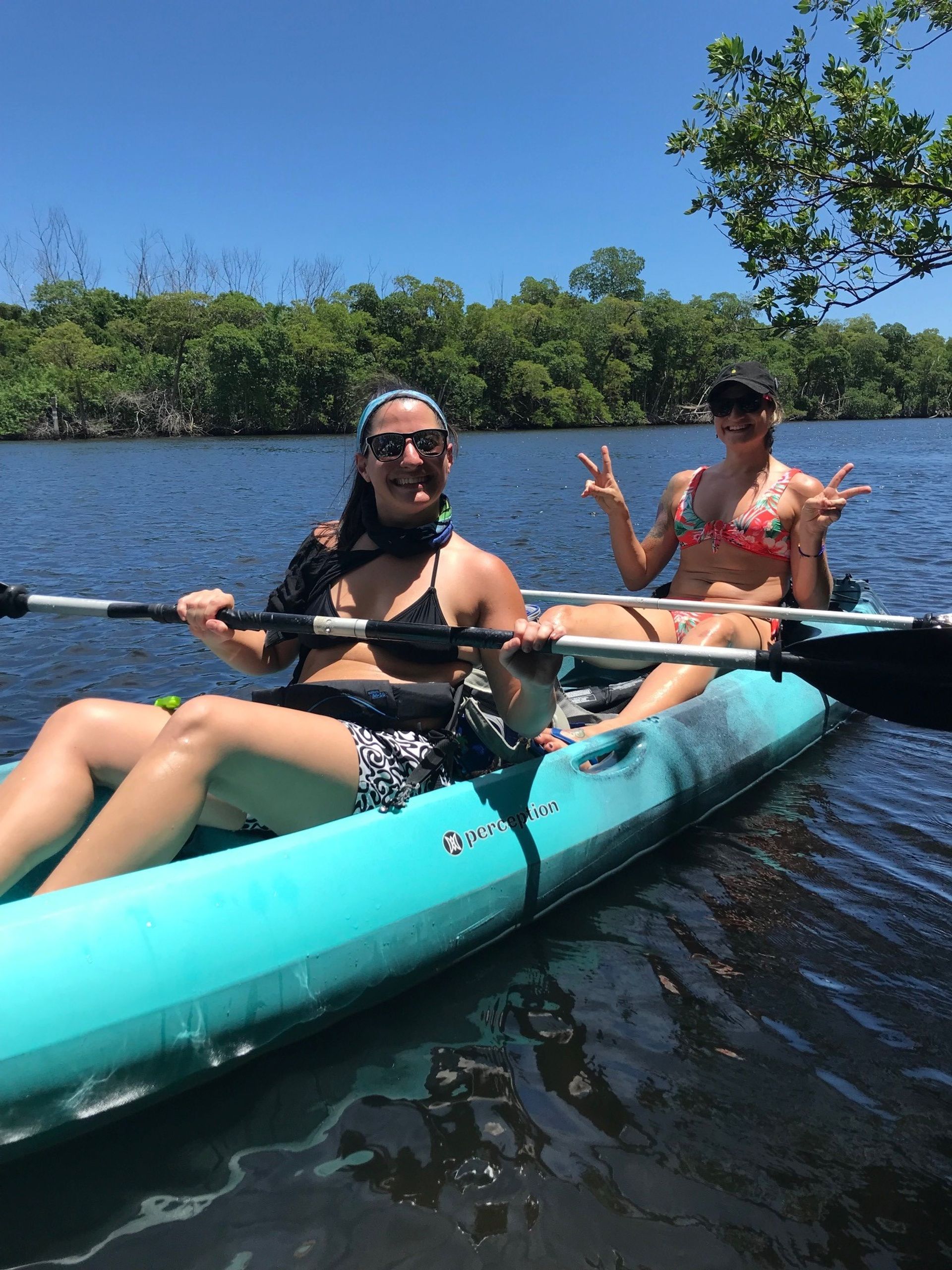 Kayak and Paddleboard Experience with Beautiful Mangrove Trails image 1