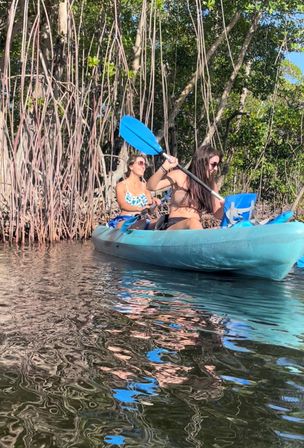 Kayak and Paddleboard Experience with Beautiful Mangrove Trails image 11