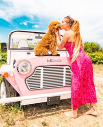 Get Around Town in a Breeze: Street-Legal Moke Rentals (4 Seats) image 3