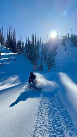 Adrenaline-packed snowmobile carving fresh powder down a sunlit alpine slope with tall snow-covered evergreens beneath a clear blue sky — backcountry winter mountain scene.