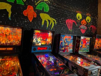 Graveface Museum Tour of True Crime, Cults and Pinball/Arcade Games image 3