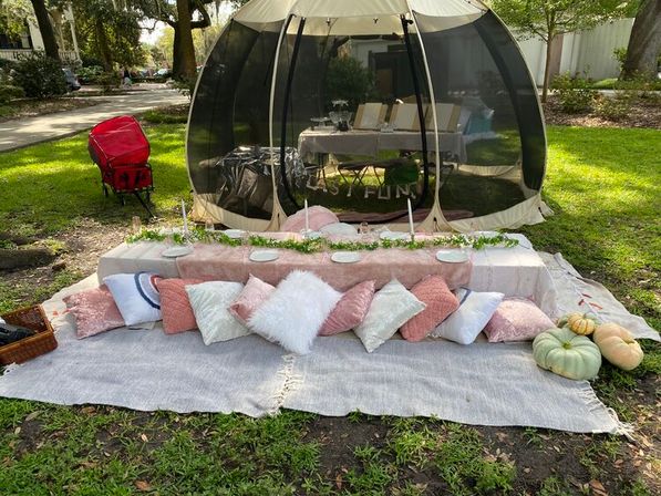 Savannah's Luxury Picnic Setup with Cushions, Decor, Games, and More (BYOB) image 3