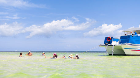 Island Adventure Sandbar Tour: Florida Keys Cruise with Kayaking, Paddleboards & Unlimited Drinks image 3