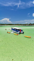 Island Adventure Sandbar Tour: Florida Keys Cruise with Kayaking, Paddleboards & Unlimited Drinks image 7