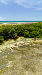 Island Adventure Sandbar Tour: Florida Keys Cruise with Kayaking, Paddleboards & Unlimited Drinks image 6