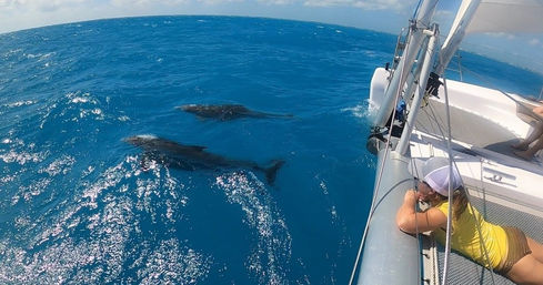 42' Lagoon Sailing Catamaran Charter in Key West image 3