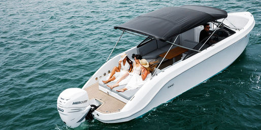 Private 29' 2021 Yacht Hampton Escape Charter For Up to 10 Passengers (BYOB) image 1