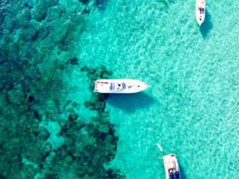 Easily Split the Costs of a Private Miami Yacht Charter with CharterXO: Cruise, Celebrate & Soak Up the Sun image 12