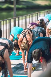 Private Yoga Class with Mimosas & Lavender image 2