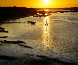 Dolphin Sail with Salt Marsh Sailing image 4