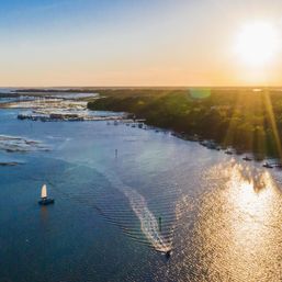 Dolphin Sail with Salt Marsh Sailing image 10