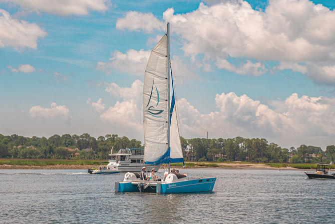 Dolphin Sail with Salt Marsh Sailing image 1
