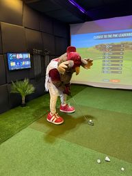Book a Mobile Golf Simulator for the Ultimate Party Experience – Perfect for Group Celebrations! image 18