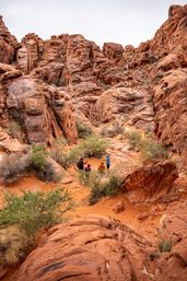 Valley of Fire Hiking Experience for All Levels of Intensity image 30