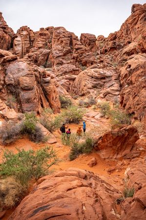 Valley of Fire Hiking Experience for All Levels of Intensity image 30