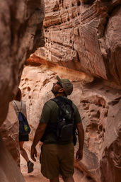Valley of Fire Hiking Experience for All Levels of Intensity image 28