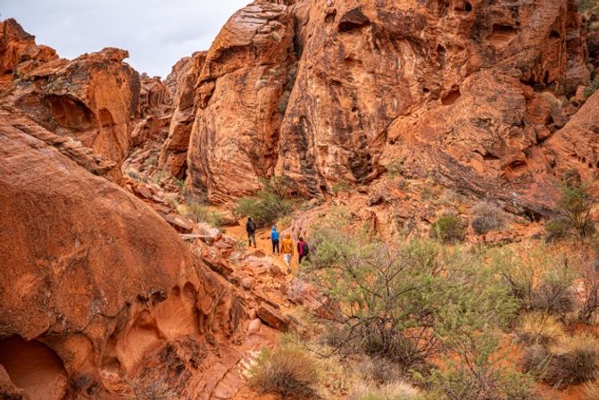 Valley of Fire Hiking Experience for All Levels of Intensity image 31