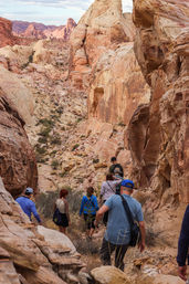 Valley of Fire Hiking Experience for All Levels of Intensity image 25